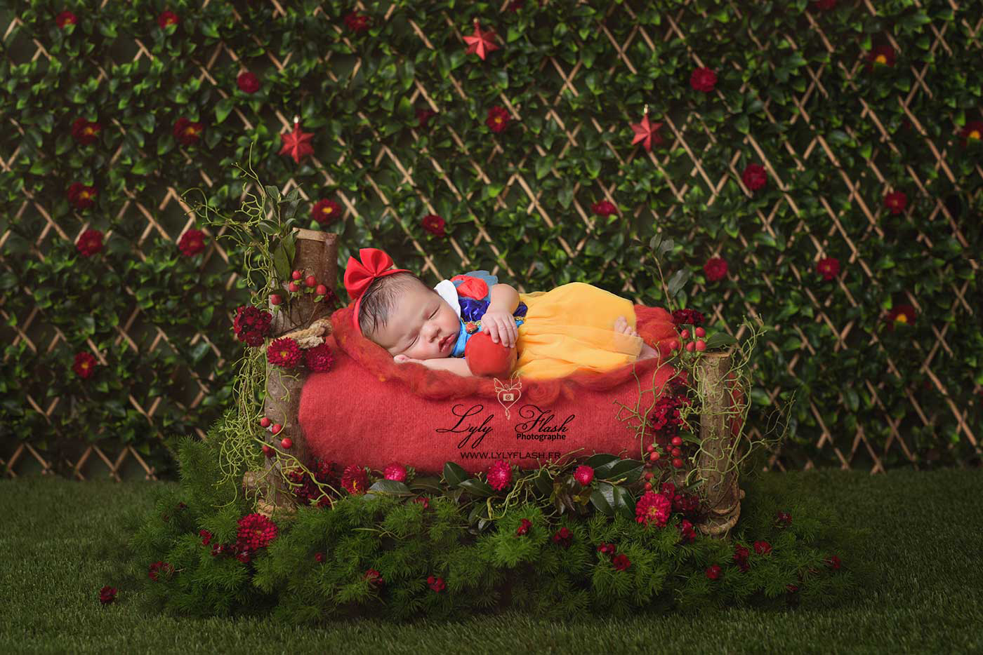 photographie de naissance, une photo d'une petite fille sans un beau lit végétal comme blanche neige. Séance photo nouveau-né a 6 jours