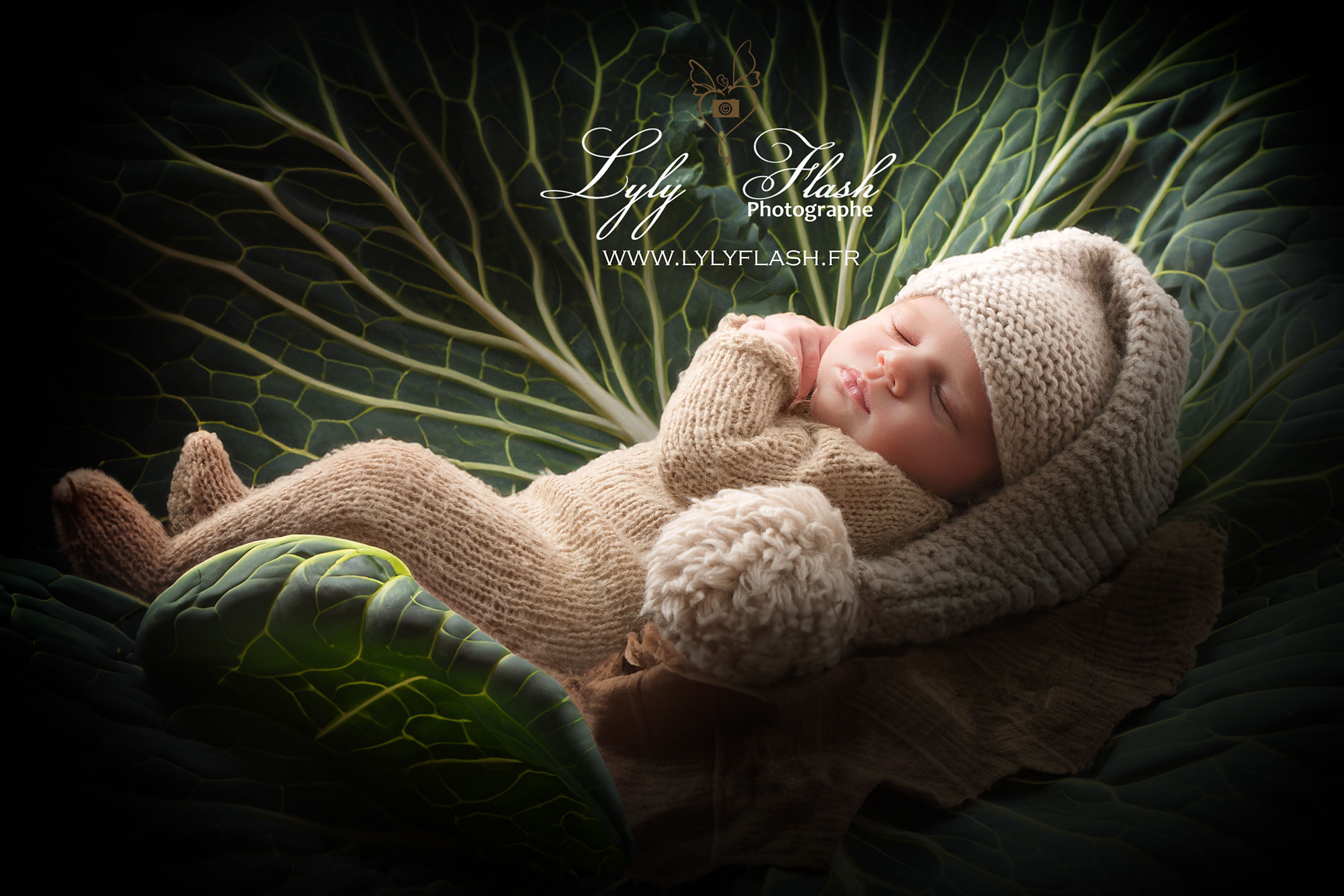 un bébé garçon est nait dans un chou au studio photo de Toulon