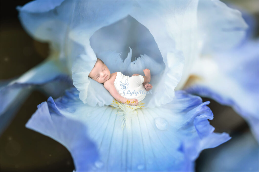 un bébé dort dans une fleur leu a la naissance. Quand l'art de la photographie, rencontre l'art botanique