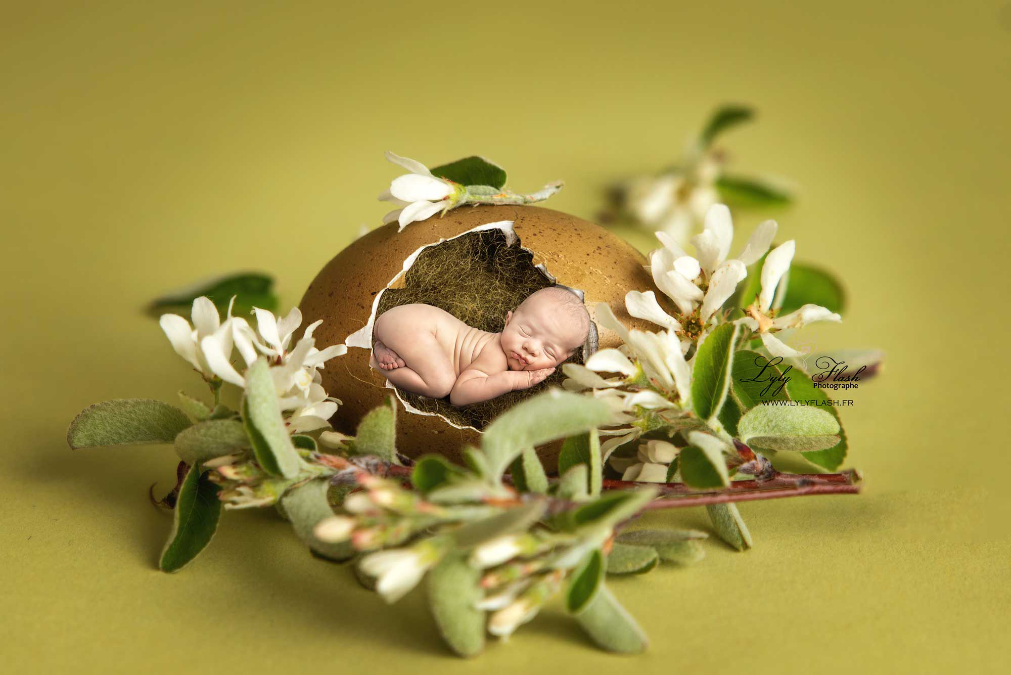 photo de naissance créative un bébé dort dans un œuf de poules de Pâques