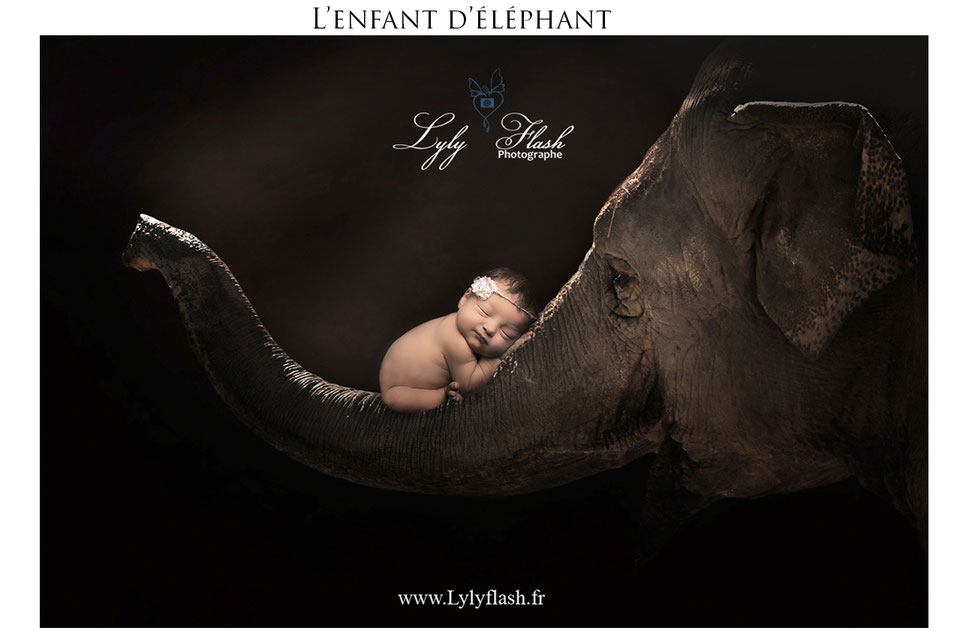 une photo artistique ou une fillette dort sur la trompe de l'éléphant a sa naissance