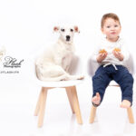 photographie chien et enfant qui mangent un gateau