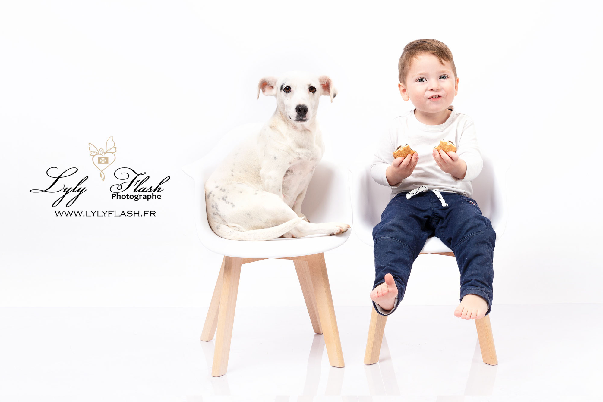 photographie chien et enfant qui mangent un gateau