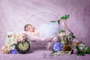 photo naissance princesse carrosse