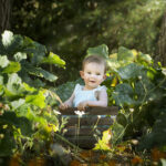 photo bébé nature extérieur mangue Toulon photographe pro jardin potager