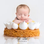 Photographe pour bébé a la naissance, un petit garçon de 2 semaines dort paisiblement une sur tartelette du pâtissier Lafitau à Brignoles. un moment de douceur et de gourmandise pour cette photographie poétique